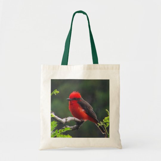 Ojo para observar la bolsa de asas