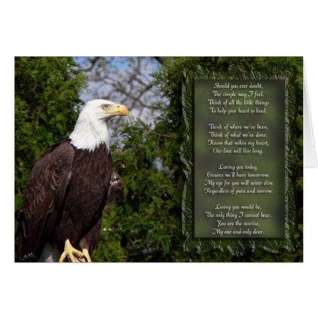 Ojo para usted (Anverso (Horizontal))