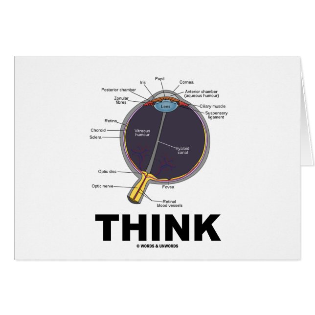 (Ojo) Pensar (Humor Anatómico) (Anverso (Horizontal))