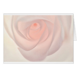 Ojo rosado del rosa