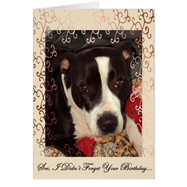 Ojos amorosos (Frente)