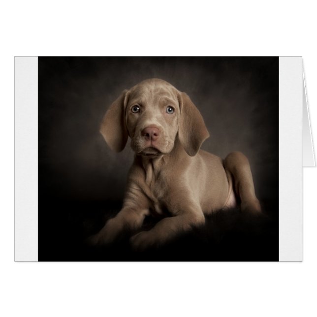 Ojos azules (Anverso (Horizontal))