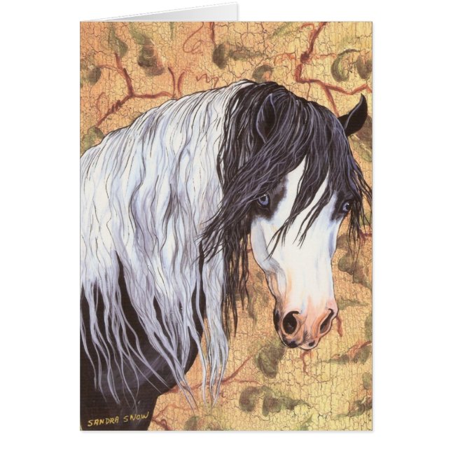 Ojos azules, caballo gitano (Frente)