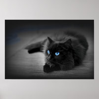 Ojos Azules de Medianoche — Póster de Arte de Pare