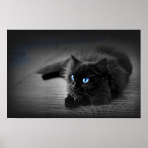 Ojos Azules de Medianoche — Póster de Arte de Pare