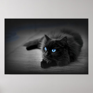 Ojos Azules de Medianoche — Póster de Arte de Pare