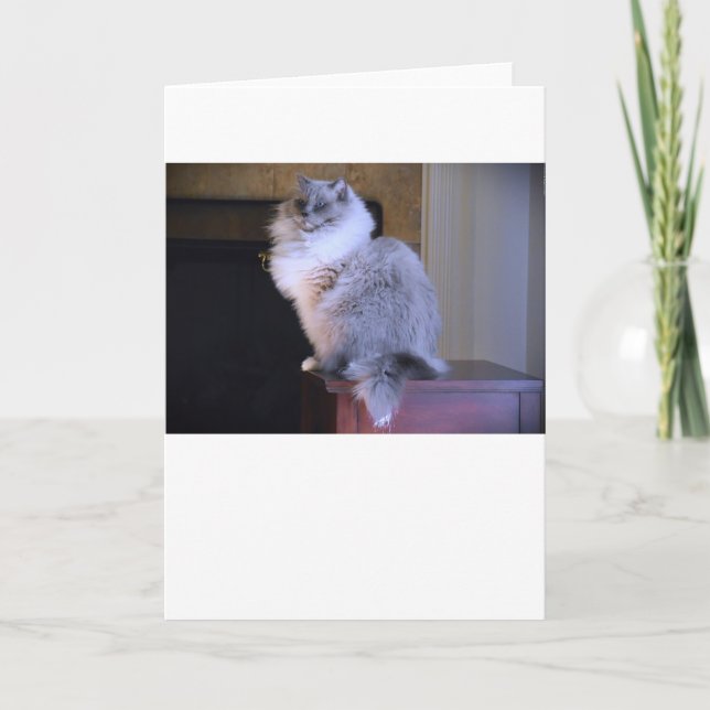 Ojos azules, tarjeta (Anverso)