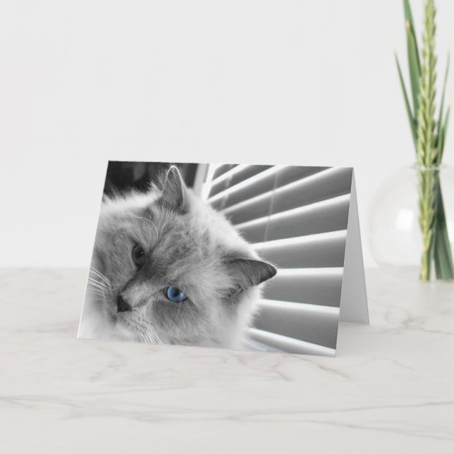 Ojos azules, tarjeta (Anverso)