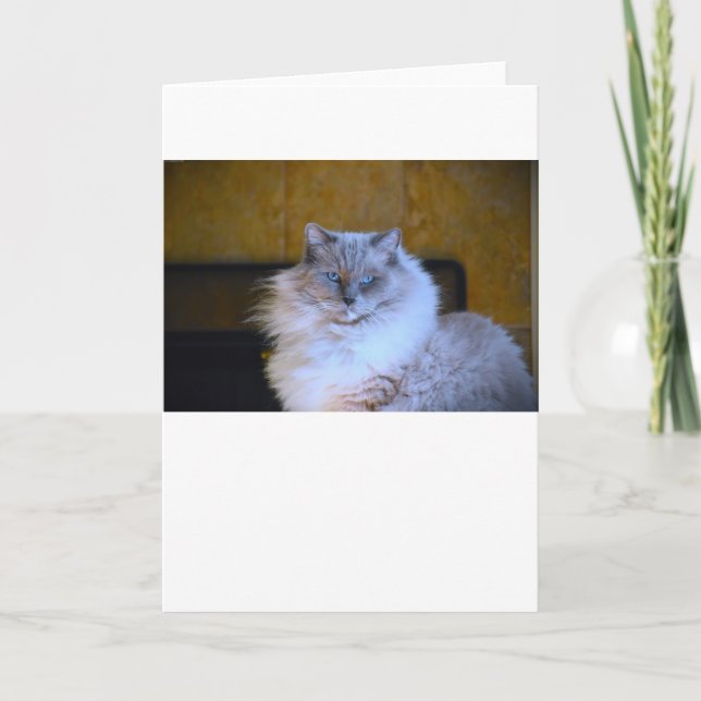 Ojos azules, tarjeta (Anverso)