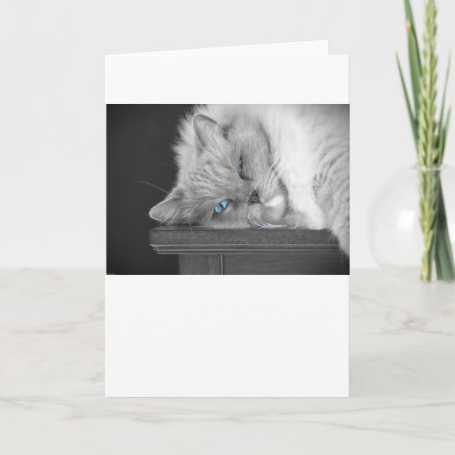 Ojos azules, tarjeta (Anverso)