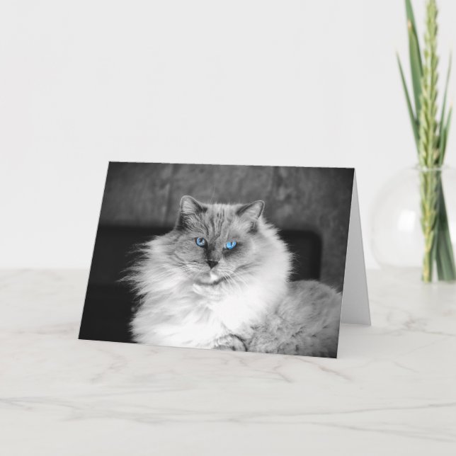 Ojos azules, tarjeta (Anverso)