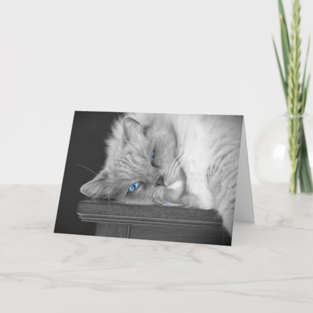 Ojos azules, tarjeta (Anverso)