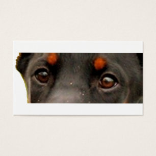 ojos de dobie
