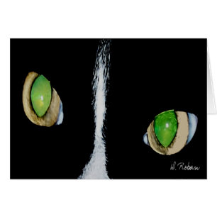 Ojos de gato