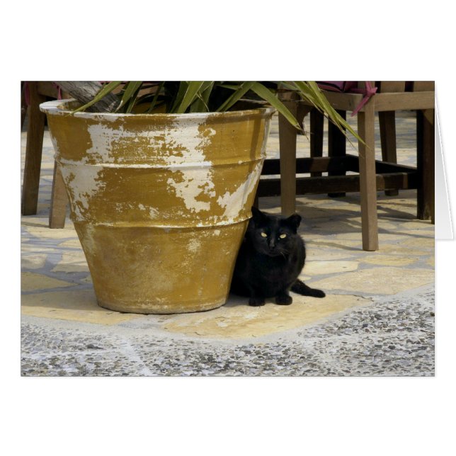 Ojos de gato (Anverso (Horizontal))