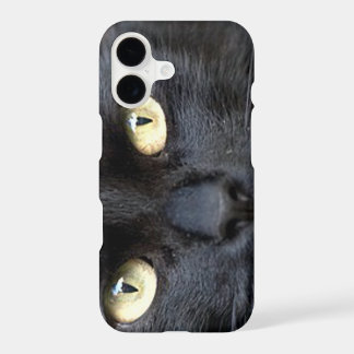 Ojos de gato