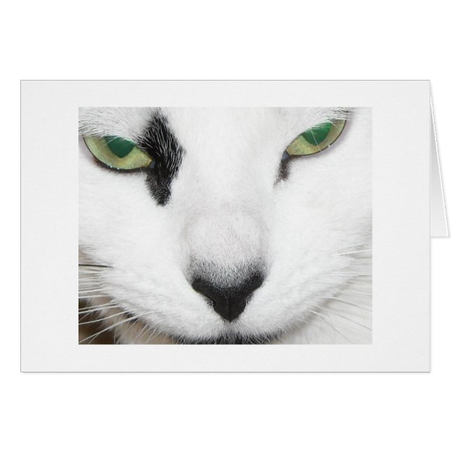 Ojos de gato (Anverso (Horizontal))