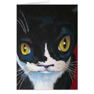 Ojos de gato