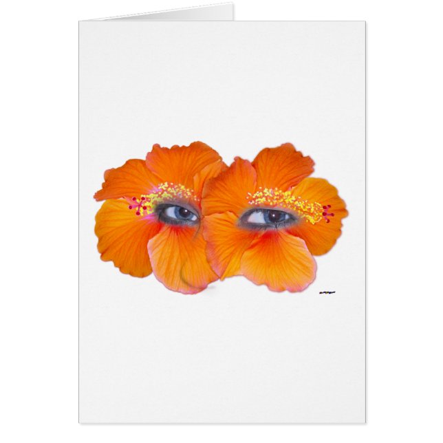Ojos de Hibiscus - Naranja (Frente)