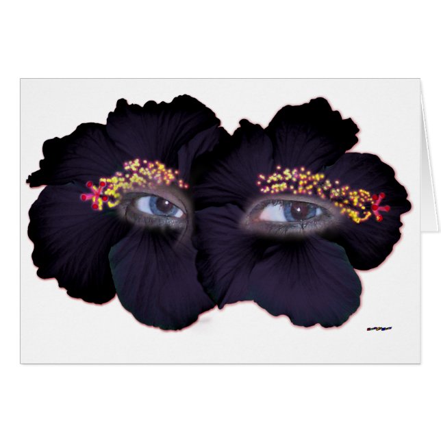 Ojos de Hibiscus - Negro/Púrpura (Anverso (Horizontal))
