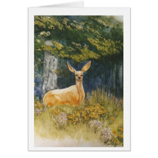 Ojos de la gama