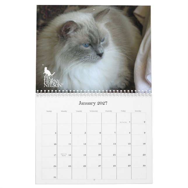 ¡Ojos de Purrfect! Calendario 2012 del gato (Jan 2027)