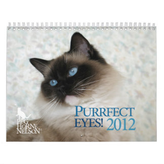 ¡Ojos de Purrfect! Calendario 2012 del gato
