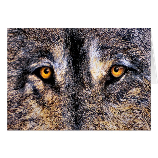 Ojos del lobo (Anverso (Horizontal))
