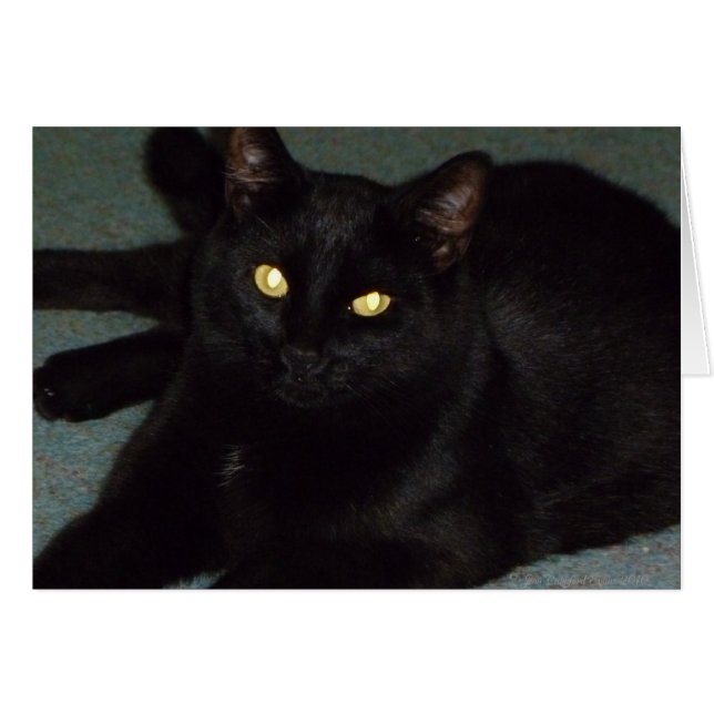 Ojos dorados (Anverso (Horizontal))