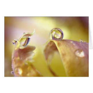 Ojos En Tarjeta Iris