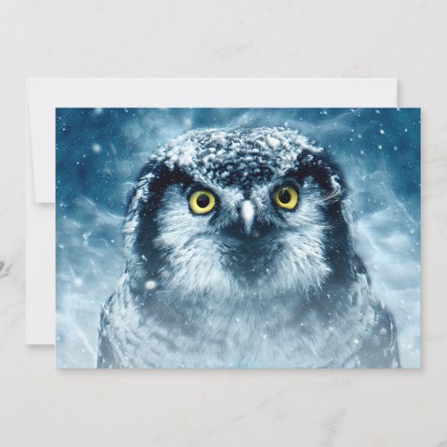 Ojos grandes de búho de nieve (Anverso)