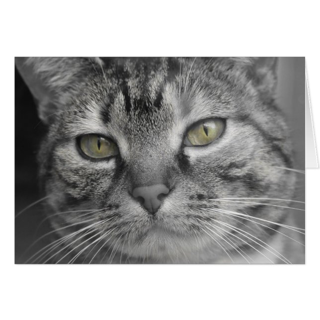 Ojos verdes (Anverso (Horizontal))