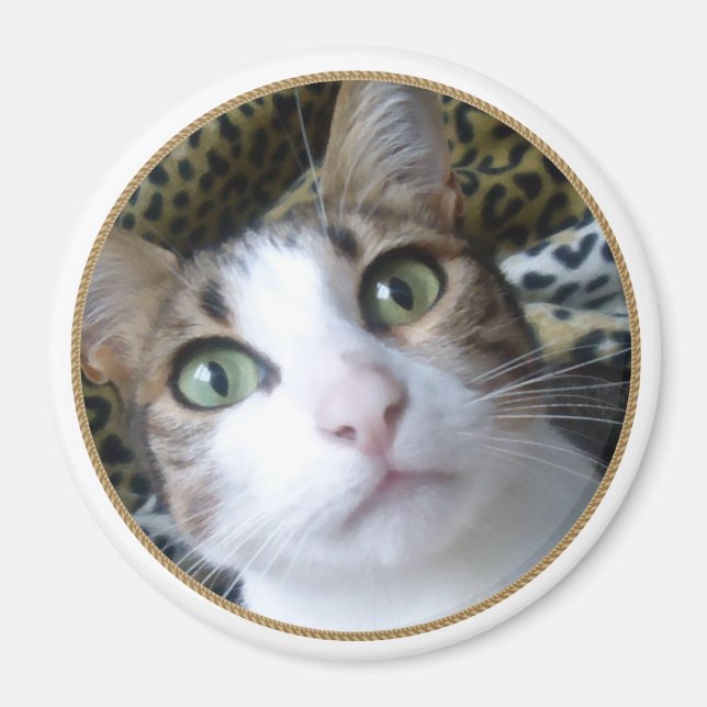 Ojos verdes de gato - imán redondo (Frente)