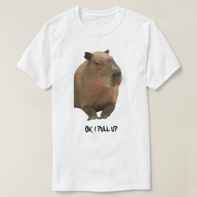 Ok, levanto la camiseta de Capybara (Diseño del anverso)