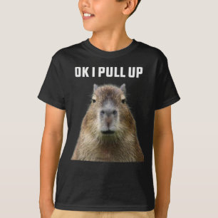 Ok, Tiro De La Camiseta De Capibara
