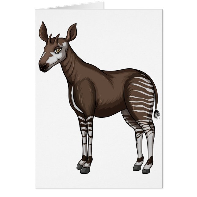 Okapi (Frente)