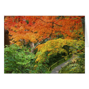 Okochi Sanso, Arashiyama, Kyoto, Japón 2