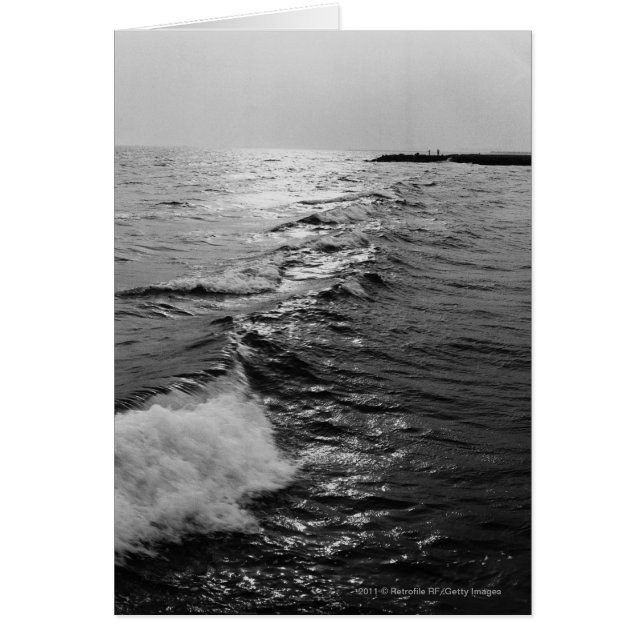Olas oceánicas (Frente)