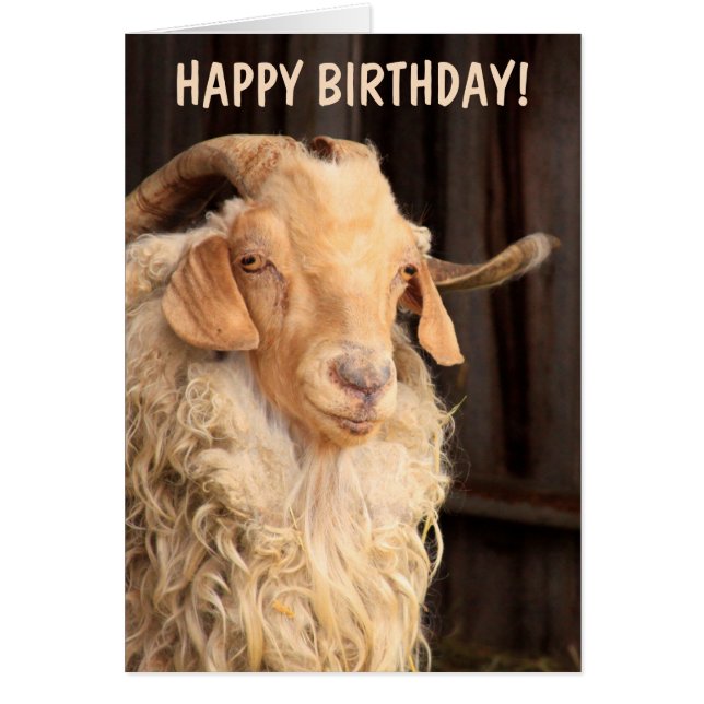 Old Goat Funny Birthday (Frente)