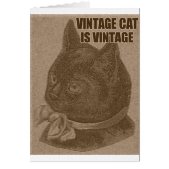 Olde LOLcat (Frente)