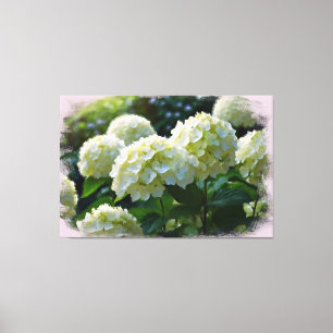 *~* Óleo Hydrangea TV2 Impresión de lienzo estirad