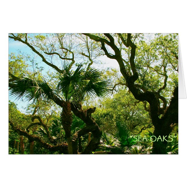 Oleos de mar (Anverso (Horizontal))