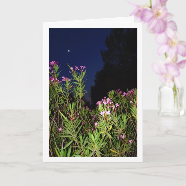Óletro rosa con tarjeta de noche (Orquídea)