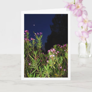Óletro rosa con tarjeta de noche