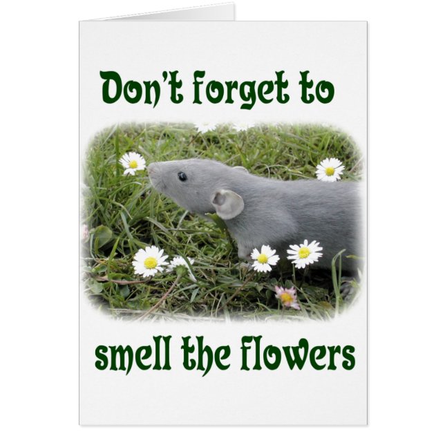 Olía las flores (Frente)