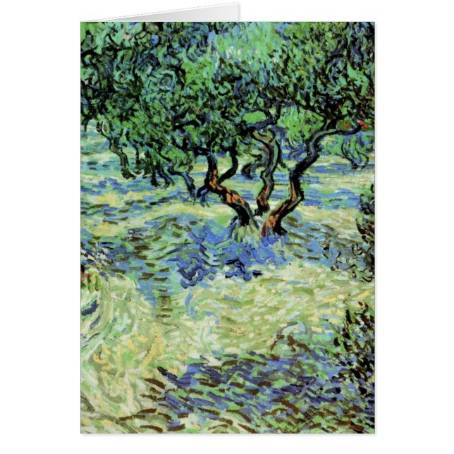 Olivar por Vincent van Gogh (Frente)