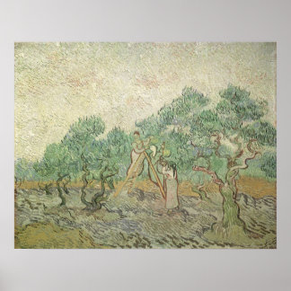 Olive Picking por Vincent van Gogh, arte vintage