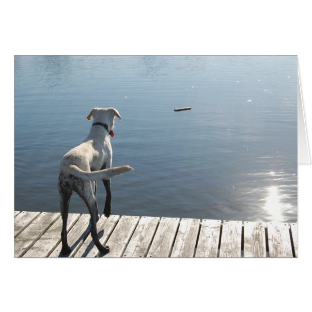 Oliver el Laboratorio de Oro (Anverso (Horizontal))