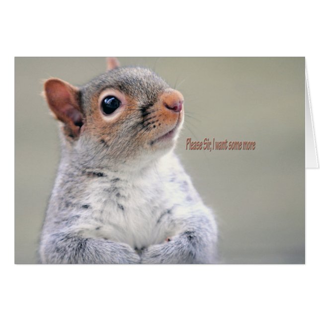 Oliver Twist Squirrel (Anverso (Horizontal))