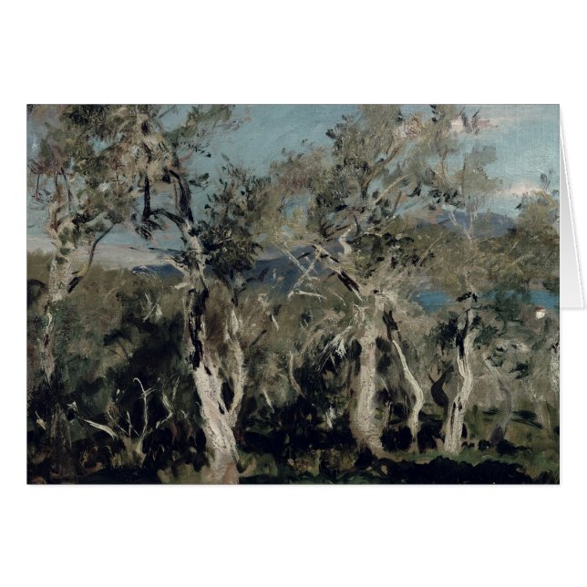 Olives, Corfú, 1912 (Anverso (Horizontal))